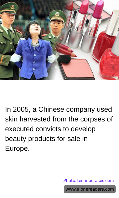 General Knowledge Learning Cards