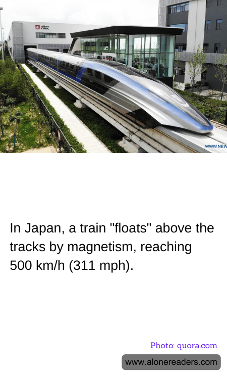 General Knowledge Learning Cards