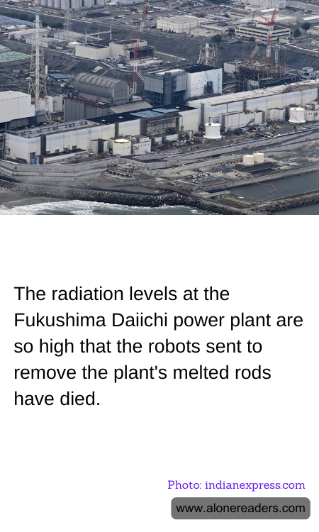 General Knowledge Learning Cards