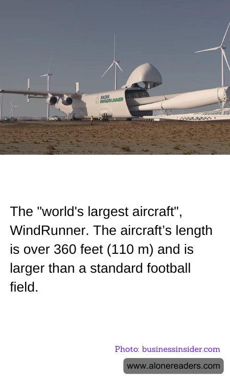 General Knowledge Learning Cards