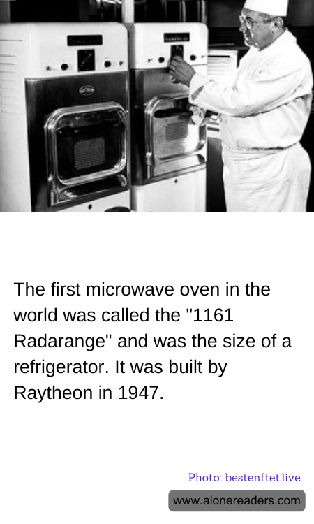 General Knowledge Learning Cards