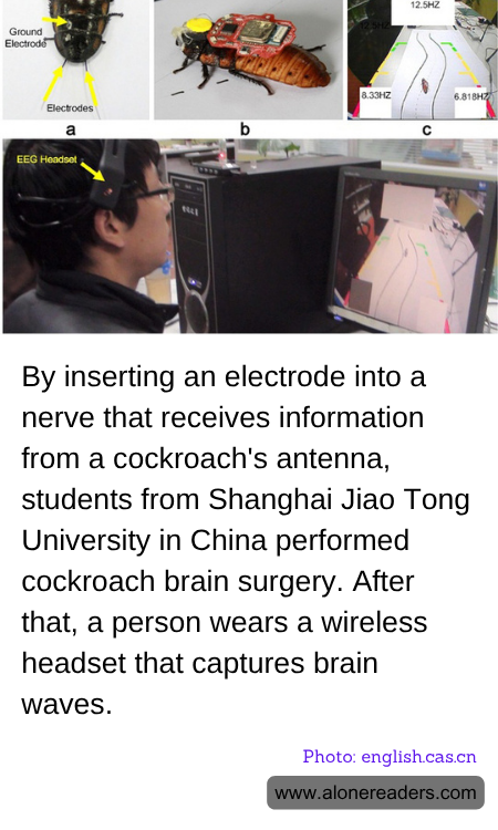 General Knowledge Learning Cards