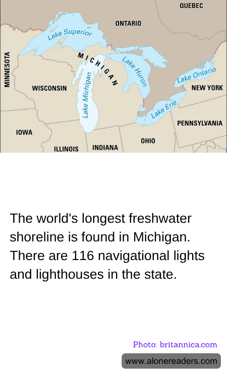 General Knowledge Learning Cards