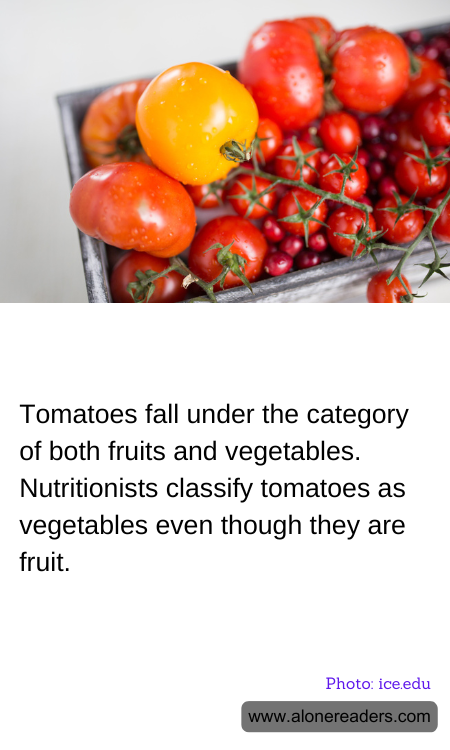 General Knowledge Learning Cards