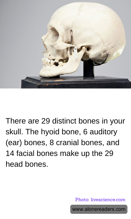 General Knowledge Learning Cards