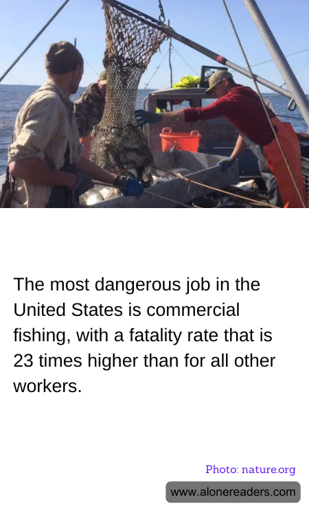 General Knowledge Learning Cards