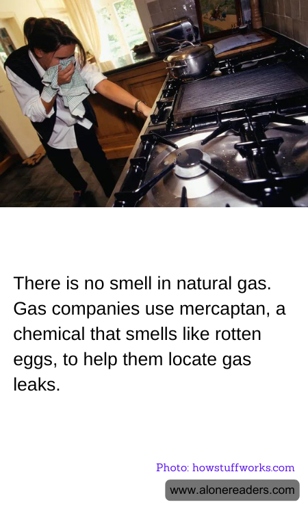 General Knowledge Learning Cards