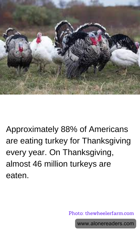 General Knowledge Learning Cards