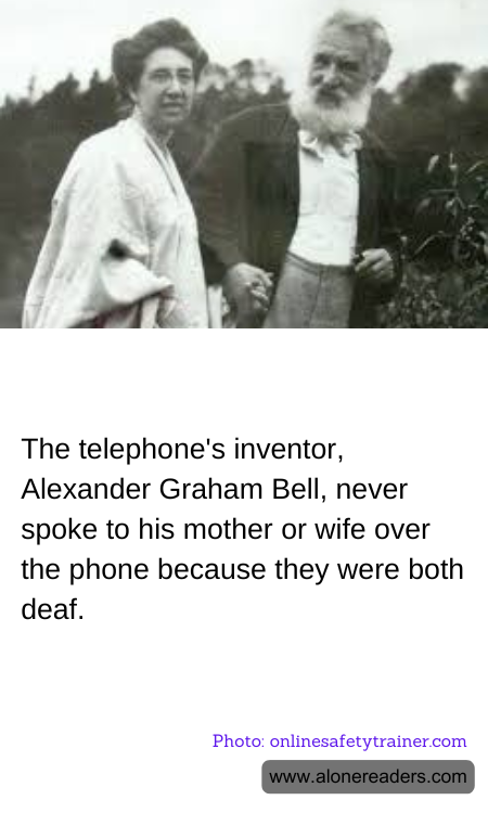 General Knowledge Learning Cards