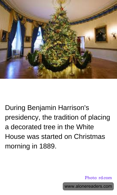 General Knowledge Learning Cards