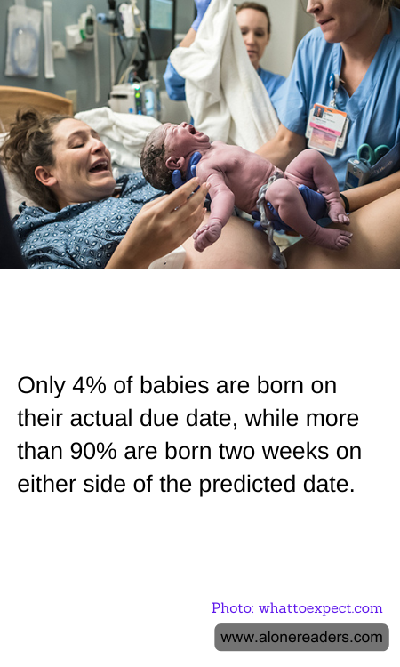 General Knowledge Learning Cards