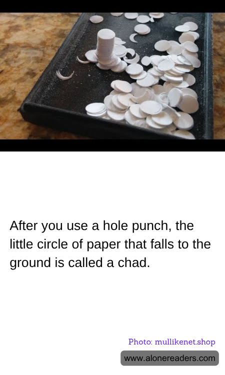 General Knowledge Learning Cards