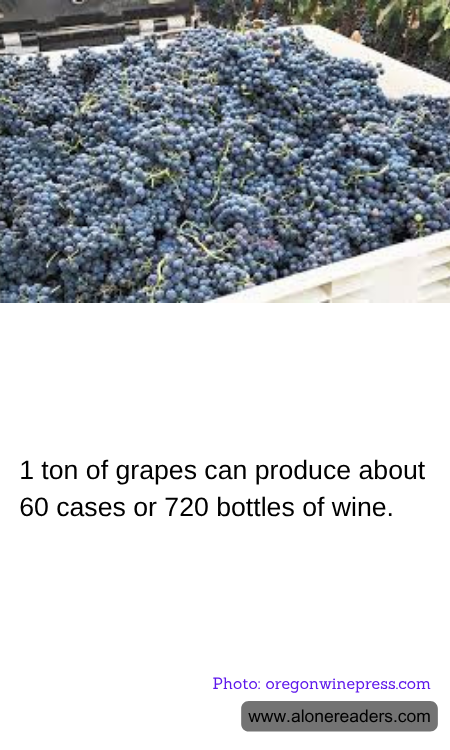 1 ton of grapes can produce about 60 cases or 720 bottles of wine.