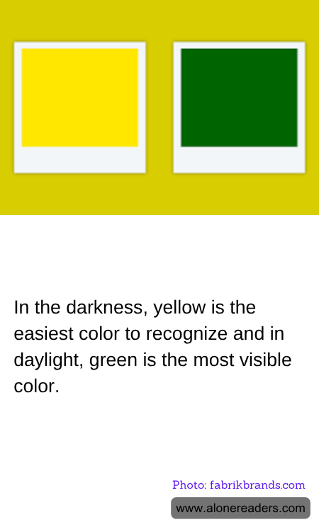 General Knowledge Learning Cards