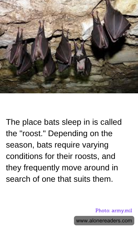 The place bats sleep in is called the "roost." Depending on the season, bats require varying conditions for their roosts, and they frequently move around in search of one that suits them.