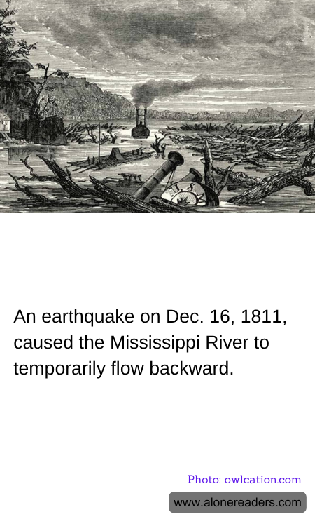 General Knowledge Learning Cards