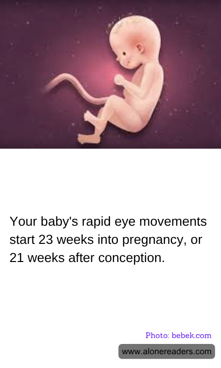 Your baby's rapid eye movements start 23 weeks into pregnancy, or 21 weeks after conception.