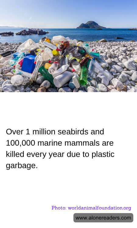 Over 1 million seabirds and 100,000 marine mammals are killed every year due to plastic garbage.