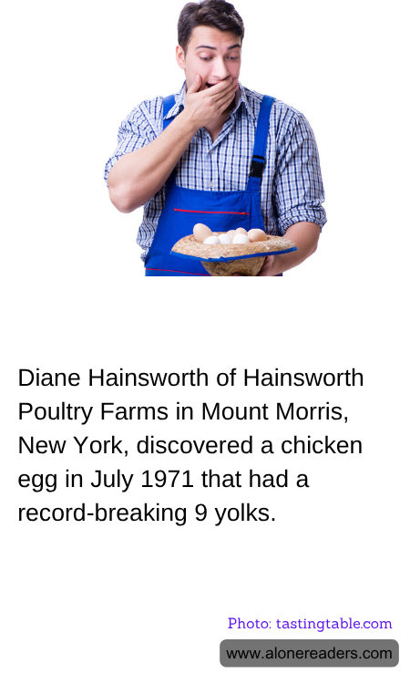 General Knowledge Learning Cards