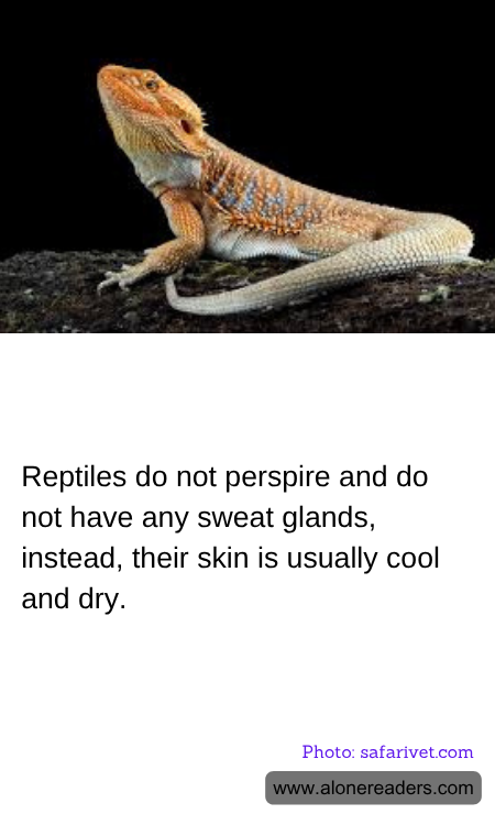 General Knowledge Learning Cards