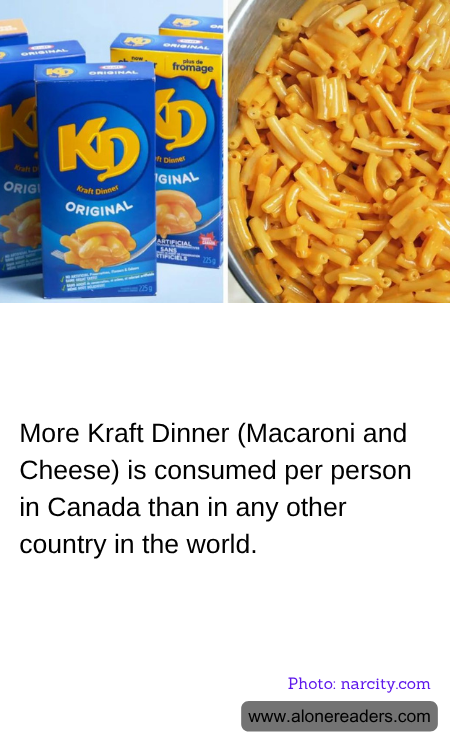 General Knowledge Learning Cards