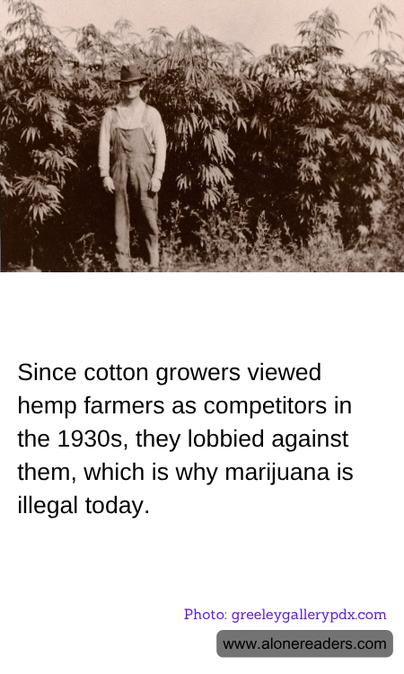 General Knowledge Learning Cards