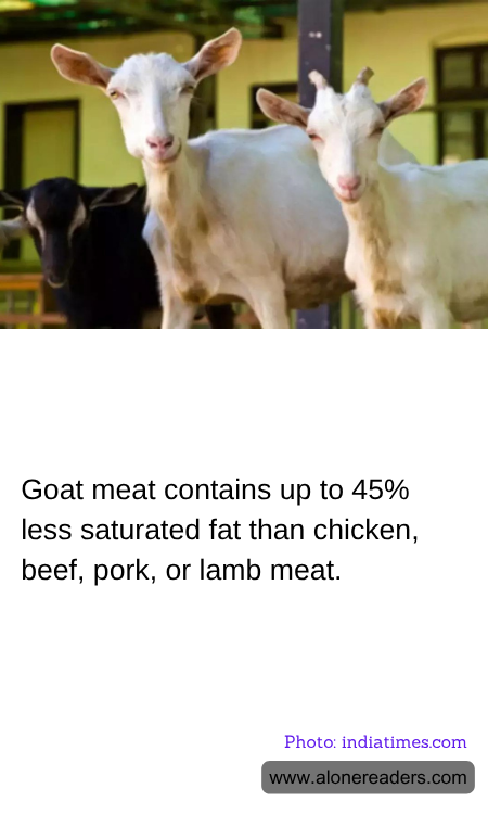 General Knowledge Learning Cards