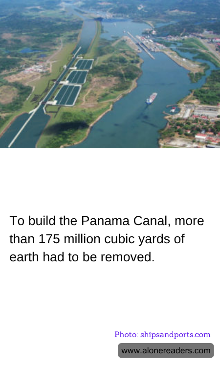 General Knowledge Learning Cards