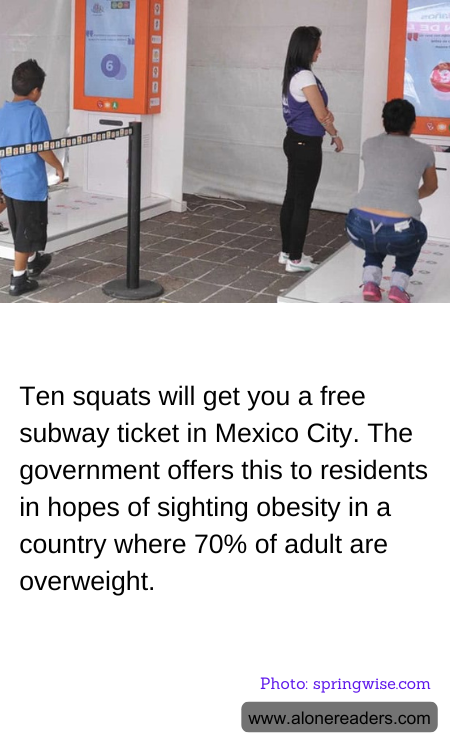 General Knowledge Learning Cards