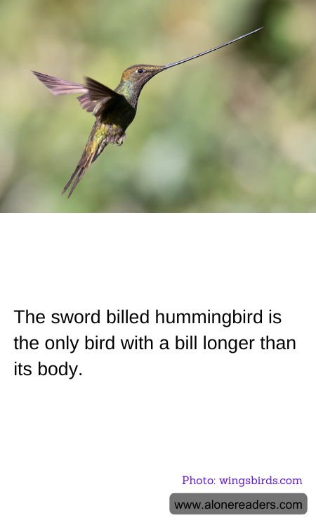 General Knowledge Learning Cards