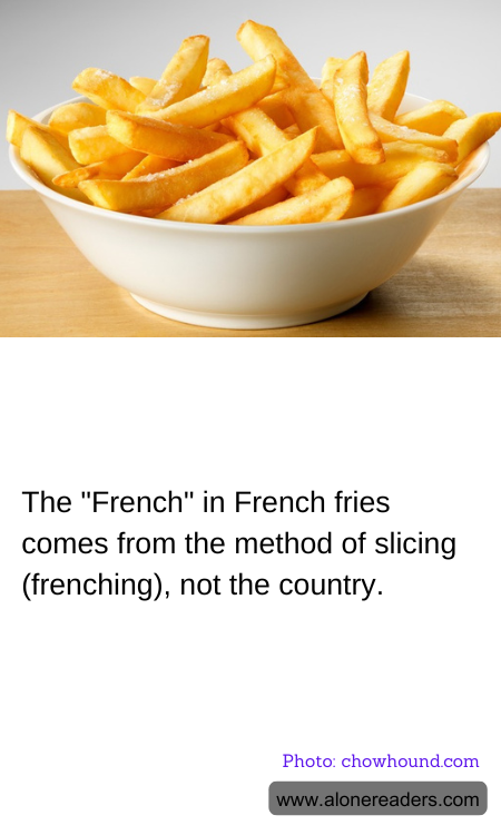 General Knowledge Learning Cards