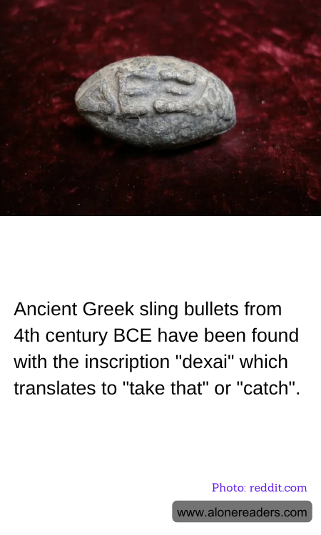 General Knowledge Learning Cards