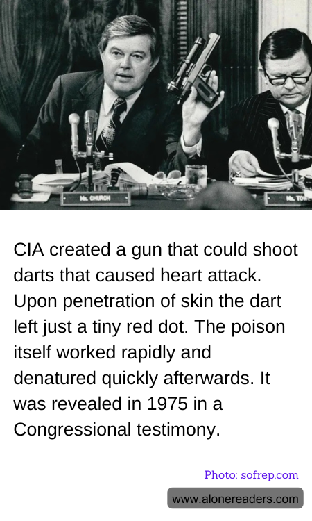 General Knowledge Learning Cards