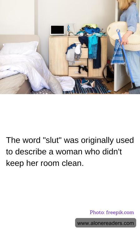The word "slut" was originally used to describe a woman who didn't keep her room clean.