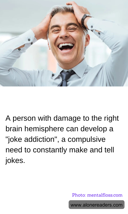 General Knowledge Learning Cards