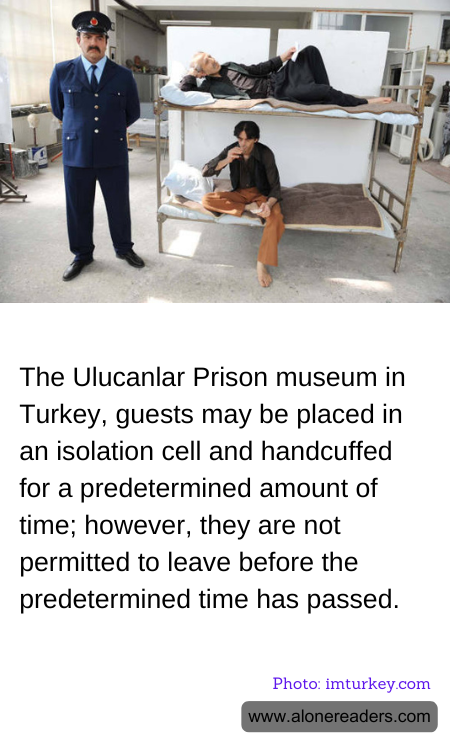 General Knowledge Learning Cards