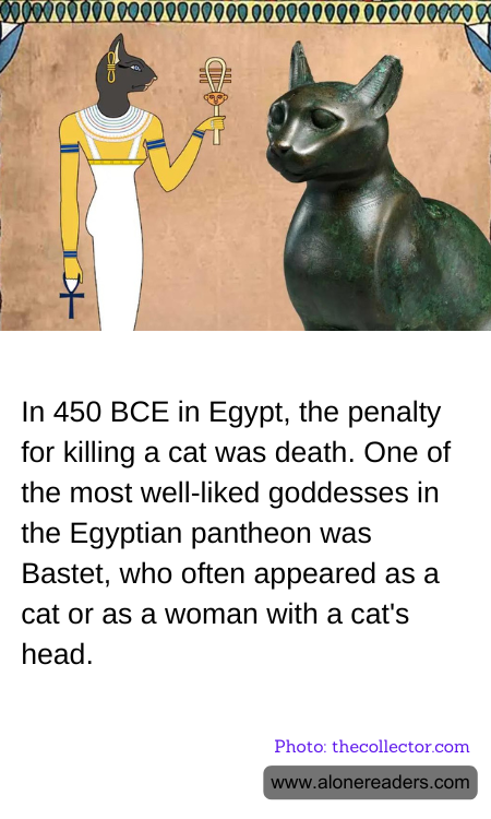 General Knowledge Learning Cards