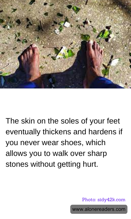 General Knowledge Learning Cards