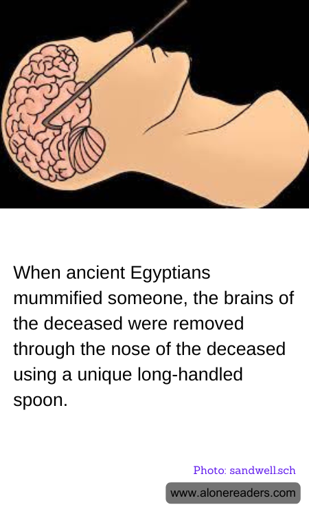 When ancient Egyptians mummified someone, the brains of the deceased were removed through the nose of the deceased using a unique long-handled spoon.