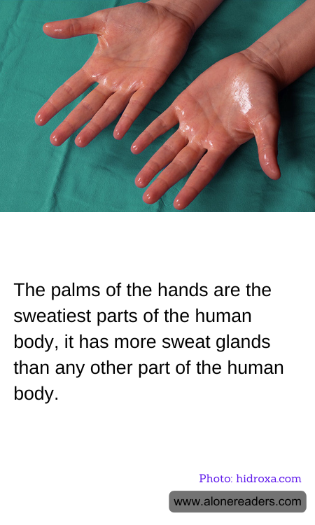 The palms of the hands are the sweatiest parts of the human body, it has more sweat glands than any other part of the human body.