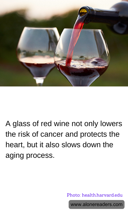 General Knowledge Learning Cards