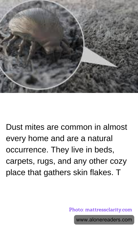 Dust mites are common in almost every home and are a natural occurrence. They live in beds, carpets, rugs, and any other cozy place that gathers skin flakes. T