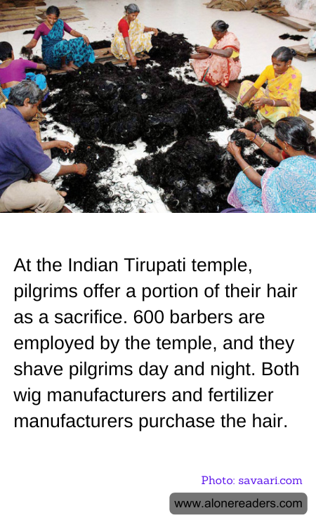 General Knowledge Learning Cards