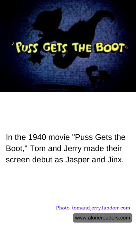 General Knowledge Learning Cards