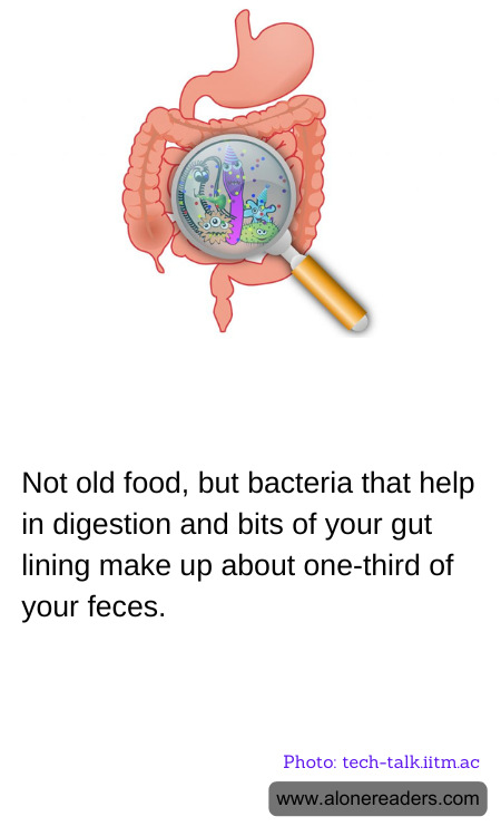 General Knowledge Learning Cards