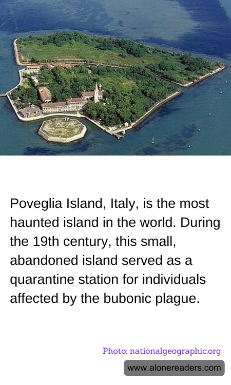 General Knowledge Learning Cards