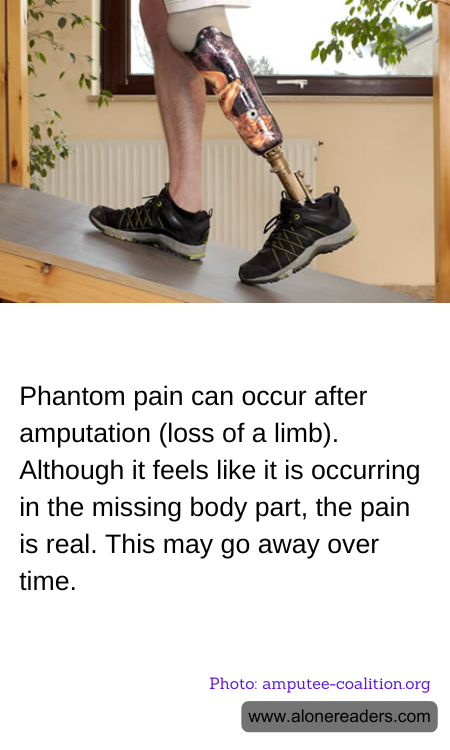 General Knowledge Learning Cards