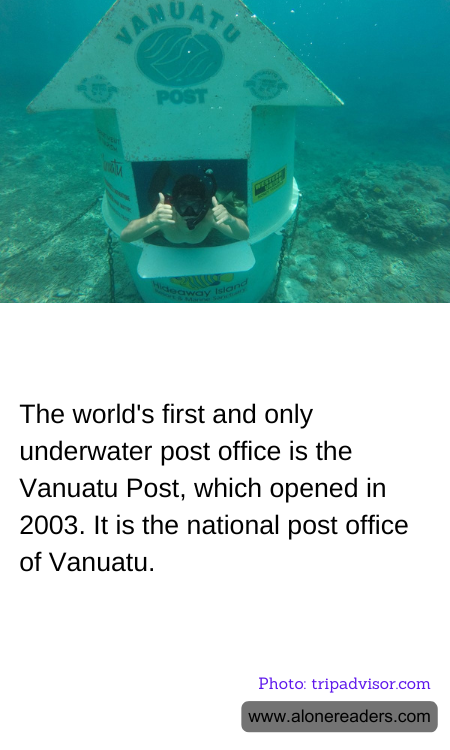 General Knowledge Learning Cards