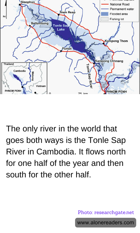 The only river in the world that goes both ways is the Tonle Sap River in Cambodia. It flows north for one half of the year and then south for the other half.