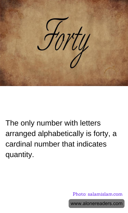 General Knowledge Learning Cards